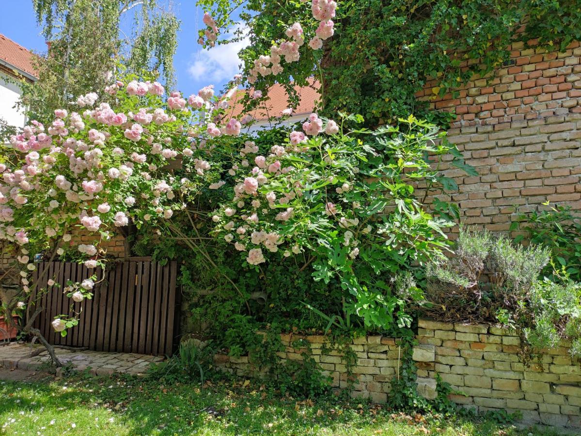 Patak28 Apartmanok Sopron Dış mekan fotoğraf